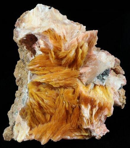 Orange Bladed Barite on Matrix - Morocco #51446